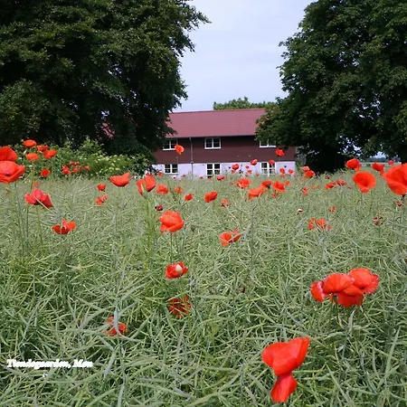 Bed & Breakfast Tiendegaarden Mons Klint