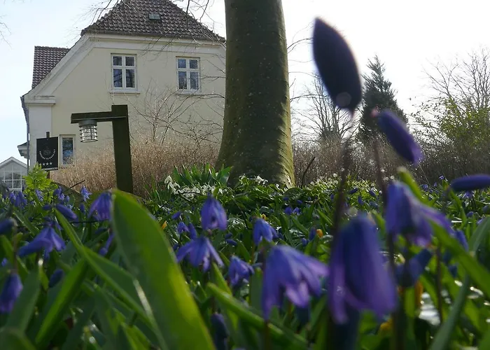 Tiendegaarden Møns Klint